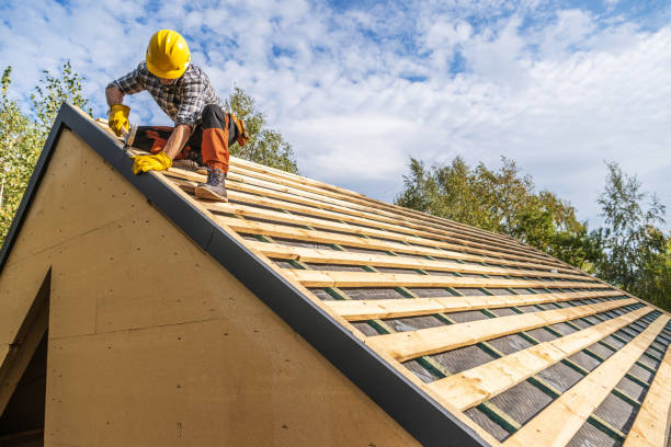 Best Roof Gutter Cleaning  in West New York, NJ